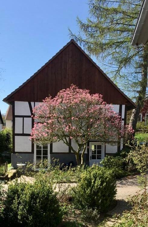 Gemuetliches Ferienhaus Im Extertal/ Lippe Exterior photo