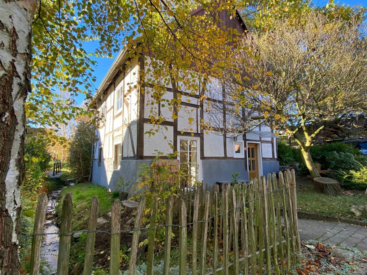 Gemuetliches Ferienhaus Im Extertal/ Lippe Exterior photo