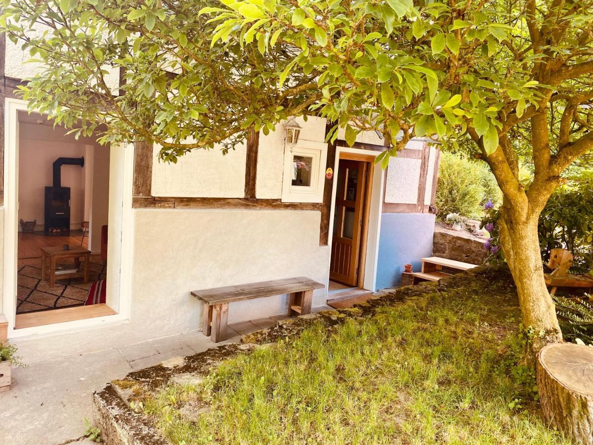 Gemuetliches Ferienhaus Im Extertal/ Lippe Exterior photo
